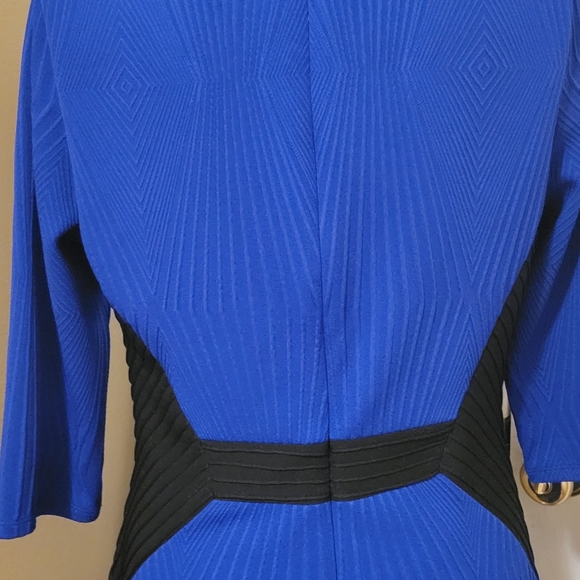 Sangria Royal Blue & Black Block Dress - Picture 5 of 10